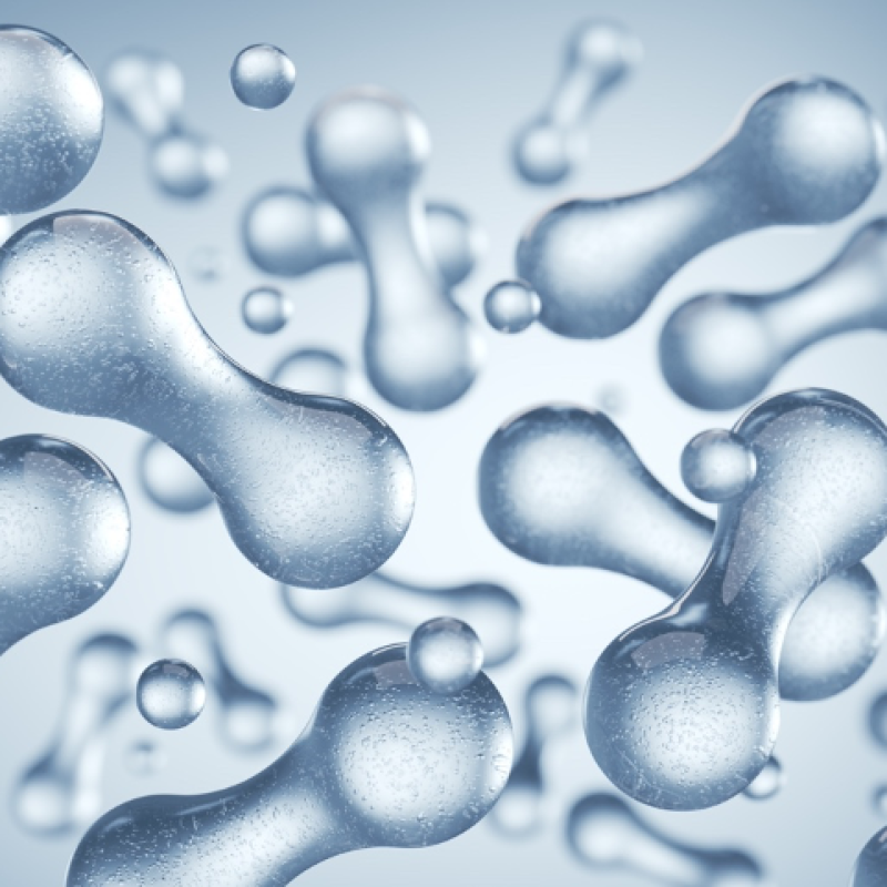 Probiotics for inflammation research
